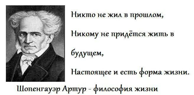 Шопенгауэр о жизни. Шопенгауэр высказывания. Высказывания Шопенгауэра. Цитаты Артура Шопенгауэра.