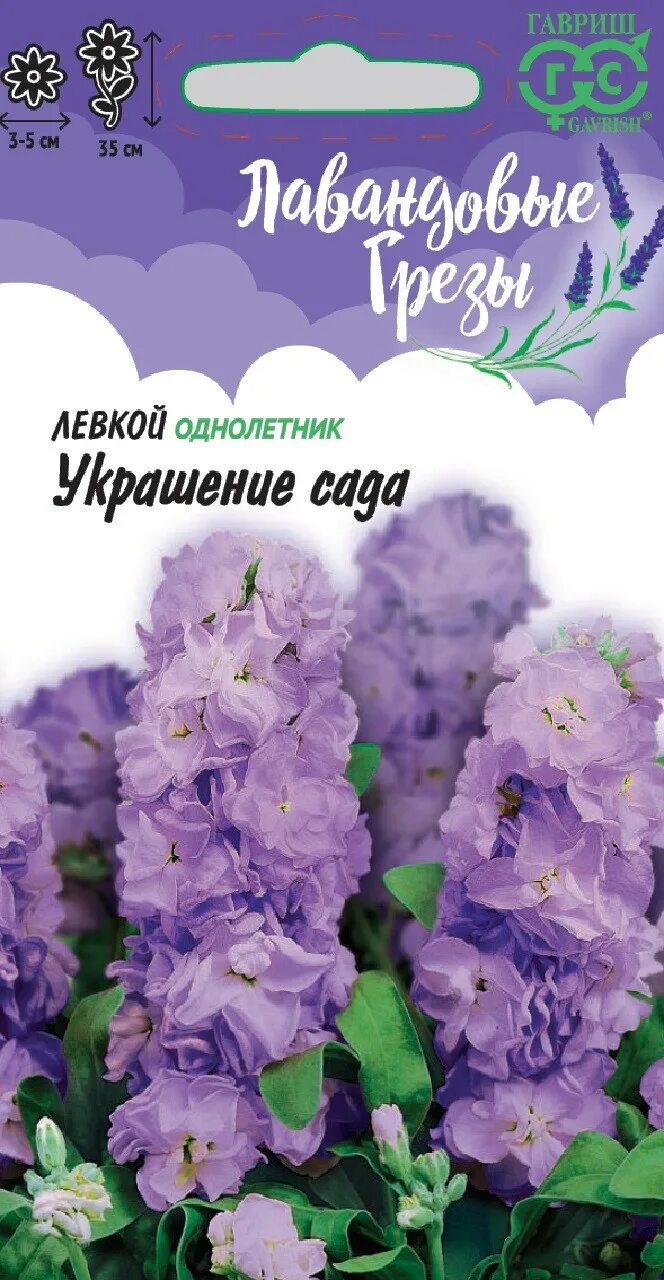 Лавандовые грезы. Лавандовые грезы. Декор из лаванды. Лаванда узколистная посадка. Глоксиния лавандовые грезы.