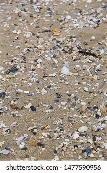Broken shells