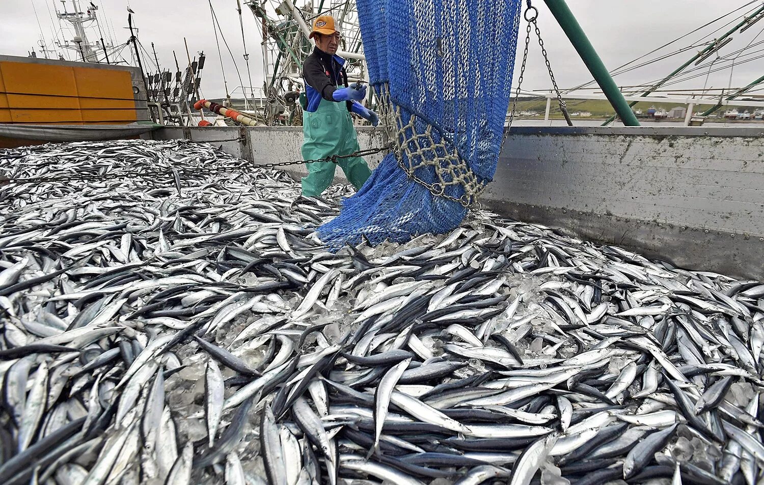Рыболовецкий колхоз сояна. Рыболовство в японии. Сельскохозяйственное рыболовство. Рыбопромышленный комплекс дальнего востока. Рыболовство в японии.