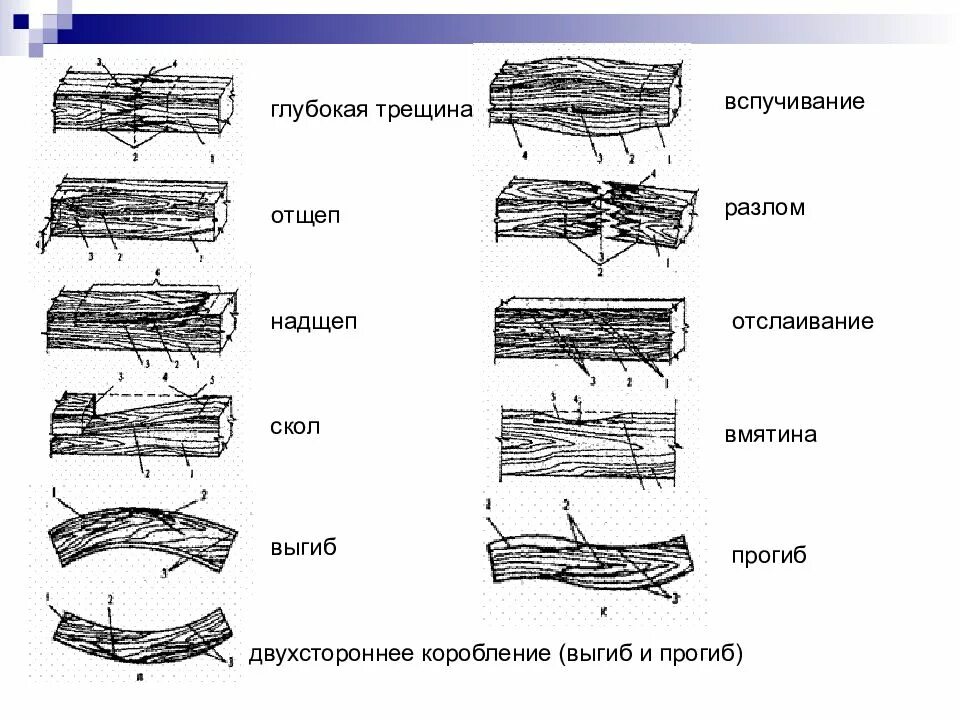Название трещин. Деформация коробления древесины. Трещины в деревянных конструкциях. Дефекты древесины трещины. Дефекты и повреждения деревянных конструкций.