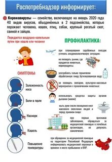 Роспотребнадзор коронавирус