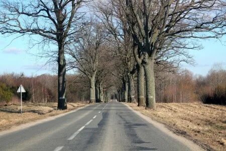 Балтийск дорога