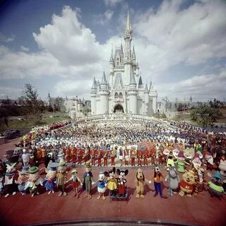 Orlando disneyland was opened in 1981