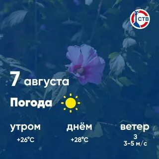 Утром 9 августа