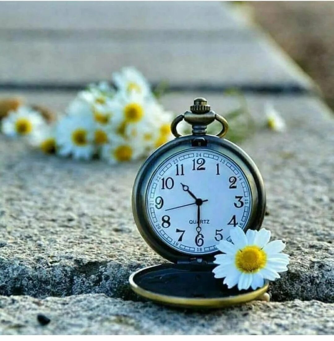 Красиво про время. Упущенное время. Время бежит. Часы "цветок". Мгновение часы.