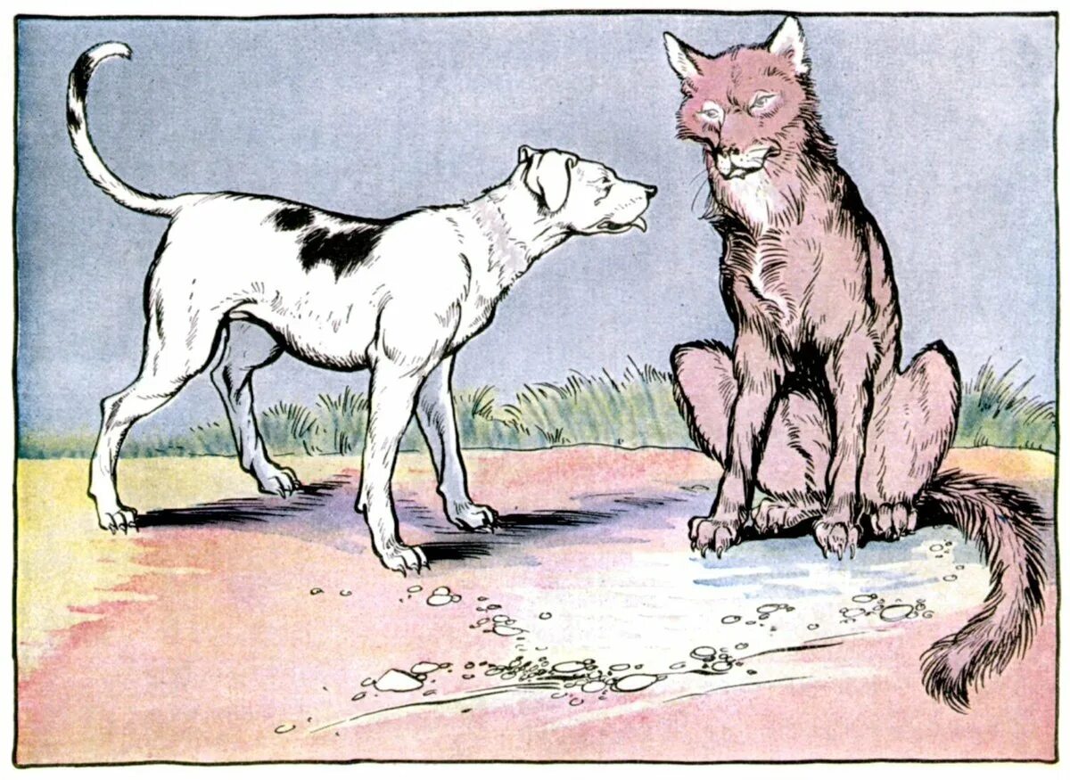 Басня волк и собака толстой. Л н толстой собака и волк. Волк и собака толстой. Волк и собака ушинский. Волк дурень сказка.