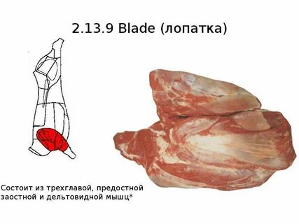 Мышца говядины