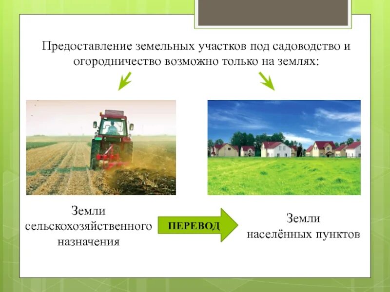 Виды сельскохозяйственного использования земель. Предоставление земли. предоставление земельных участков для огородничества. земли сельскохозяйственного назначения презентация. выделение земельного участка.