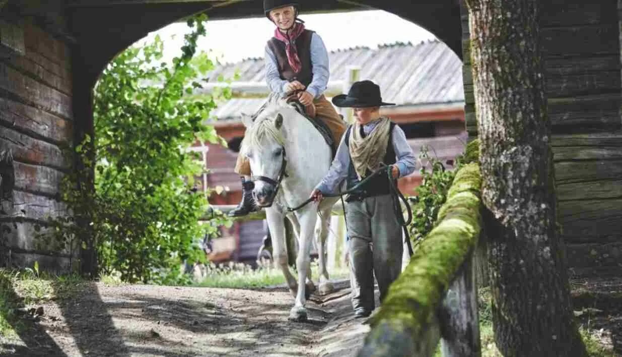 Хай Чапаррал парк. Вестерн парк. Шведский парк Хай Чаппарал. Western park