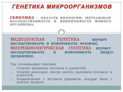 Генетика микроорганизмов изучает