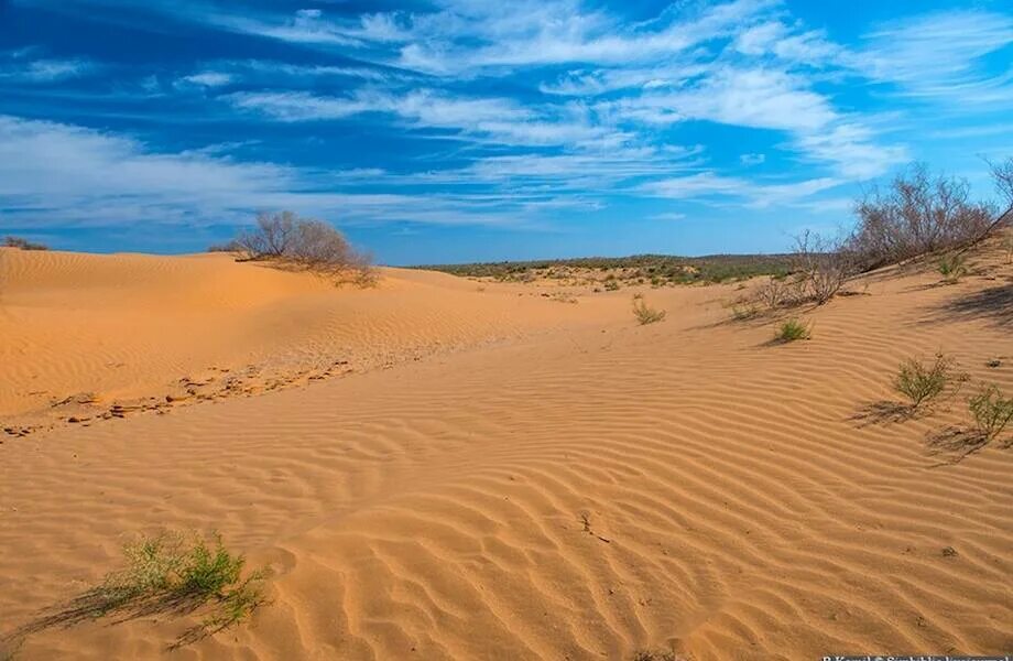 Самая жаркая страна летом