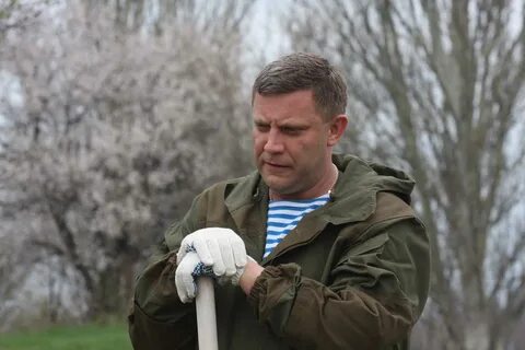 Начальник днр