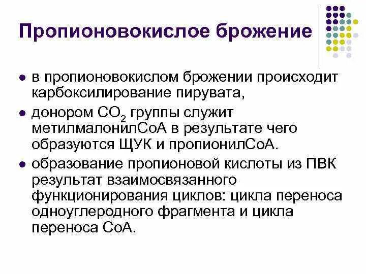 Почему происходит брожение. Почему происходит брожение