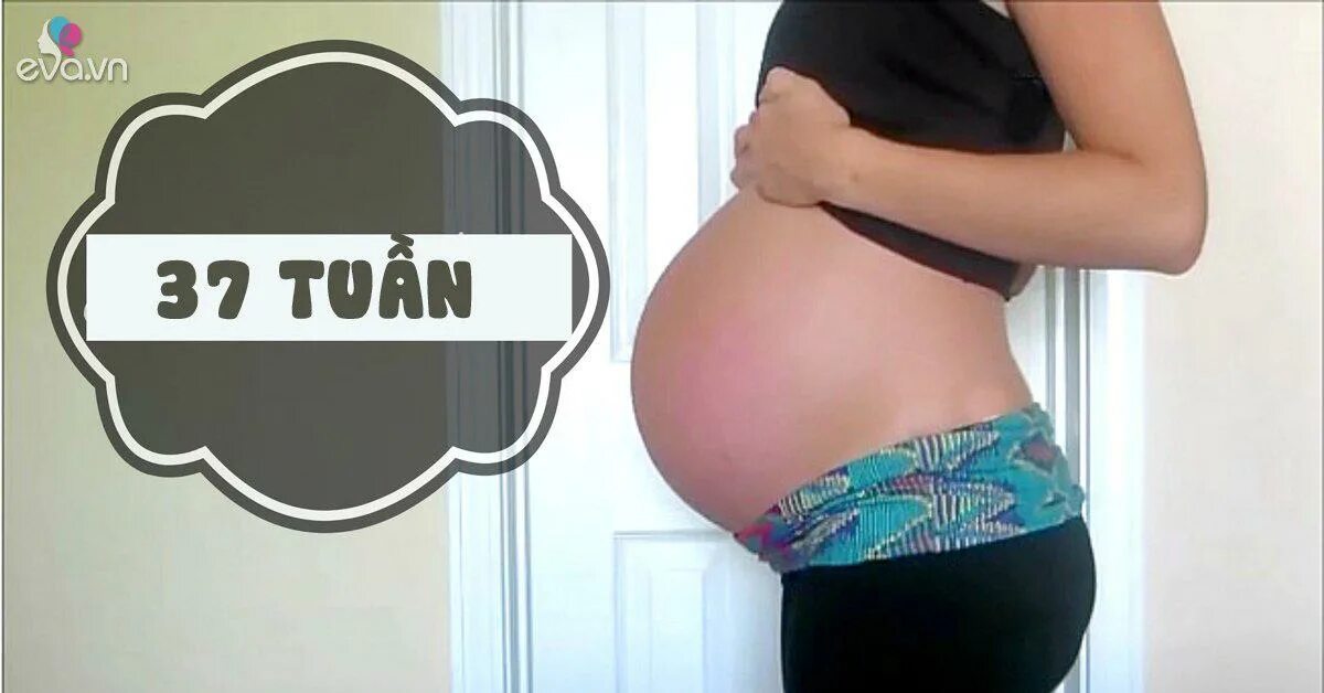 37 40 недель беременности