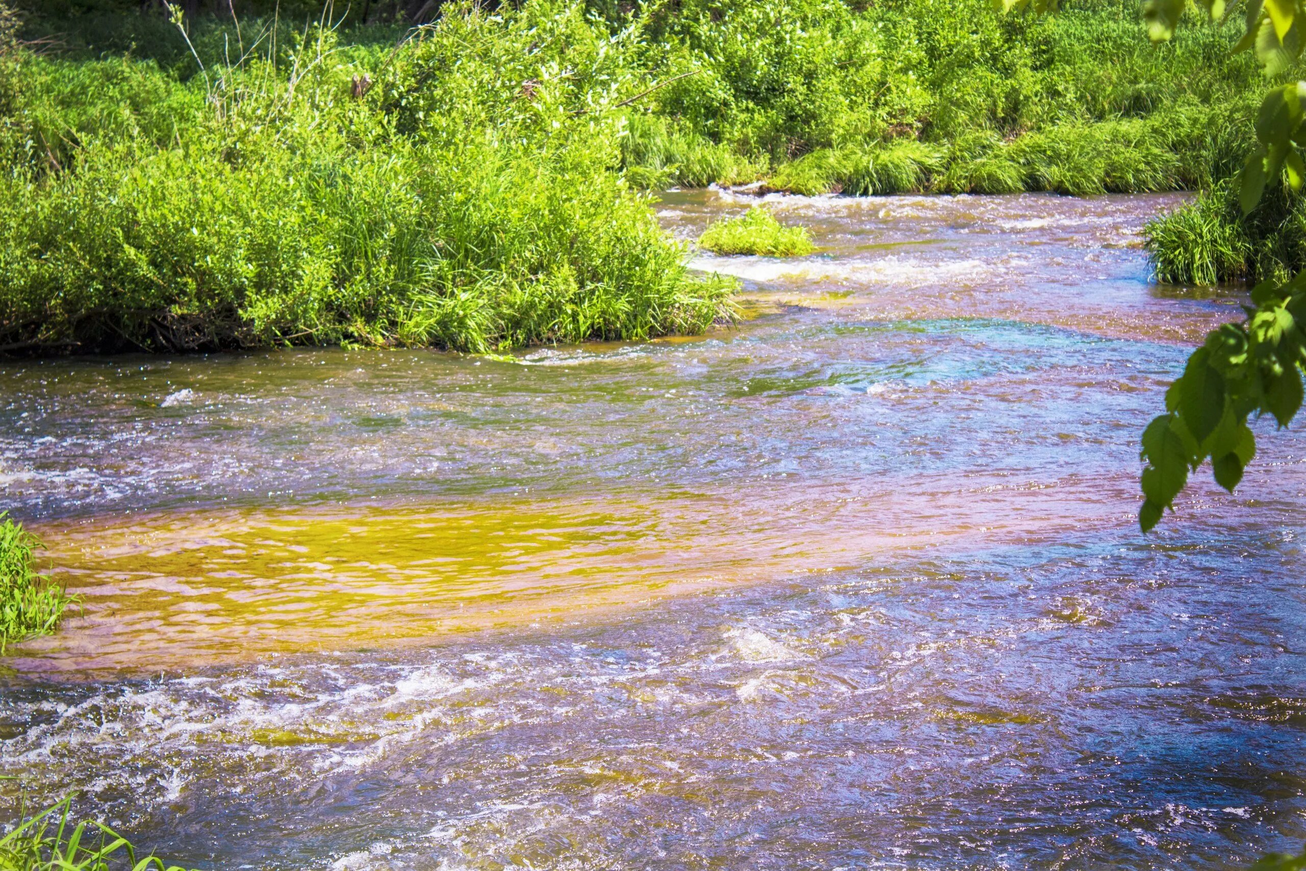 удомля природа. река пекша кольчугино. река пекша владимирская область. река пекша владимирская область кольчугино. удомля закат.
