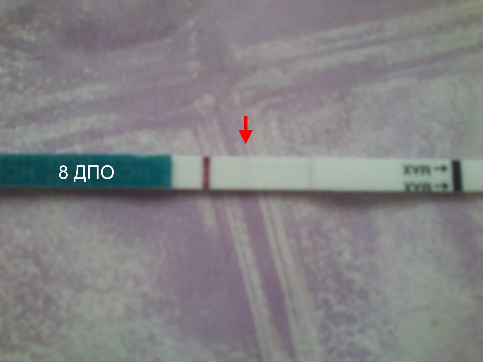 Заболеть после овуляции