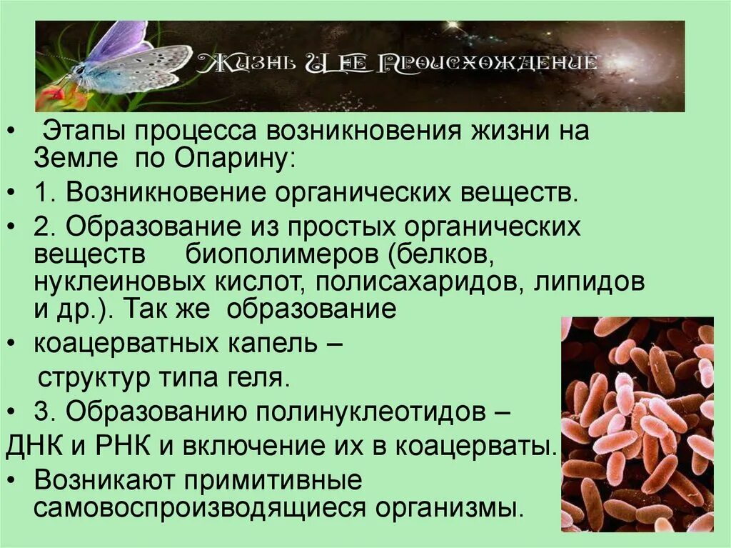 Этапы возникновения жизни на земле. Процессы возникновения жизни по Опарину. Этапы возникновеничжизеи на земле. Этапы возникновения жизни по Опарину.