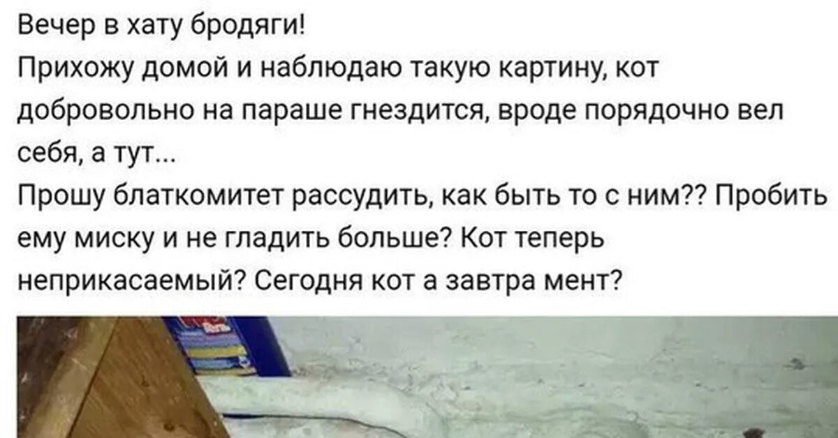 Приветствие на зоне вечер в хату. Поговорка вечер в хату. Вечер в хату продолжение фразы. Ветер в хату