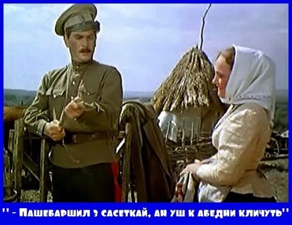 Песня ворон из тихого дона