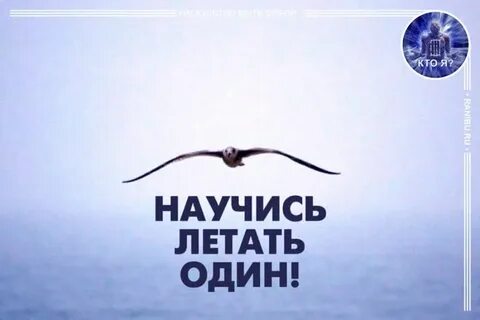 Когда мы будем летать