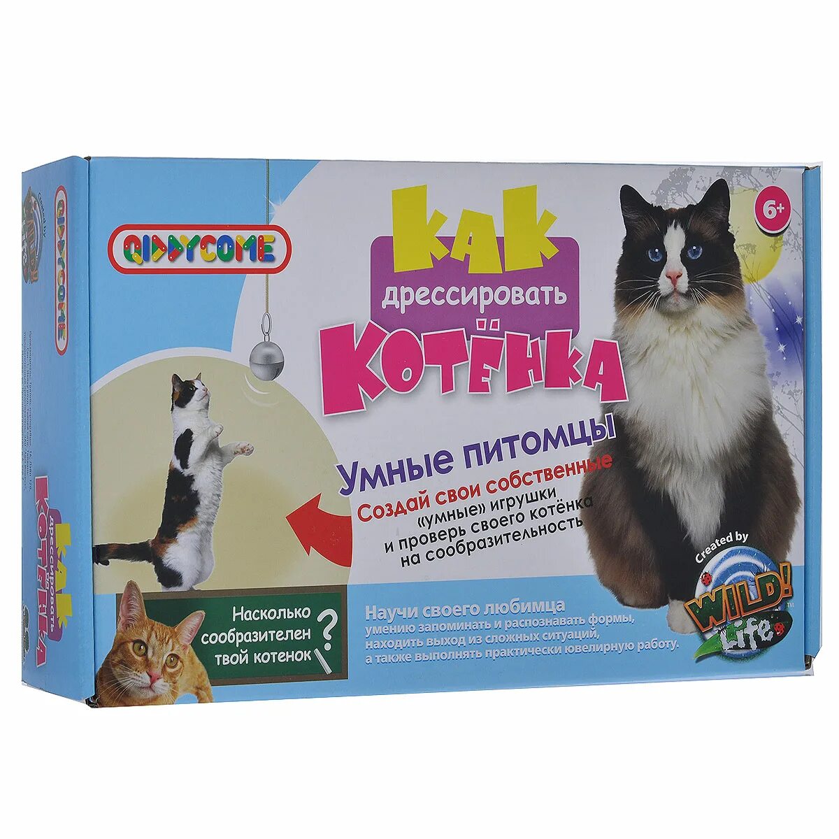 Как дрессировать кошку