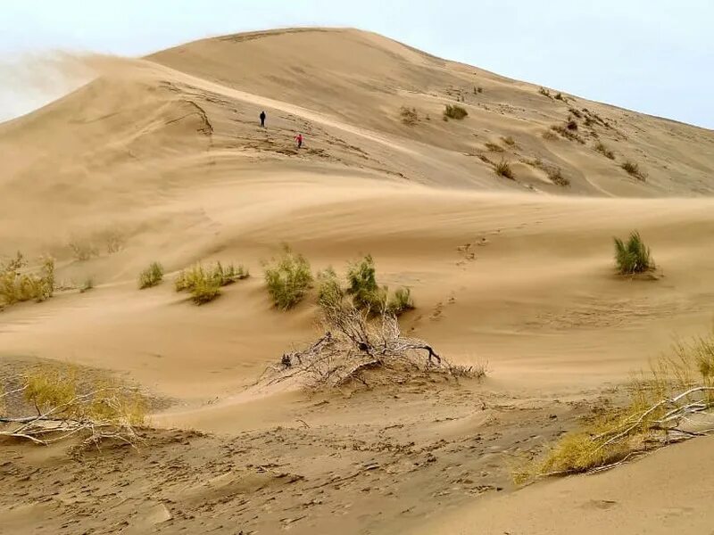 Для рисования песком гребешки. Песчаный гребень. Гора песка. Big red dunes. Песчаный гребень.