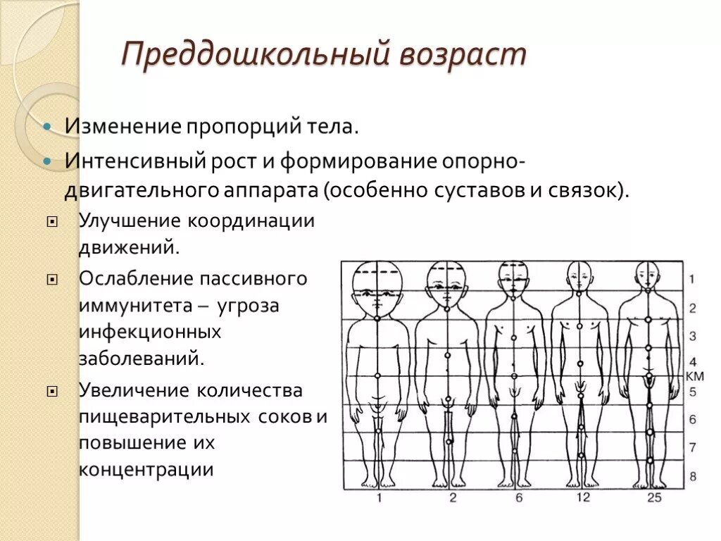 Развитие это 1 изменение организма. Возрастные изменения пропорций тела. Изменение пропорций тела в онтогенезе. Возрастные изменения детей. Изменение пропорций тела ребенка.