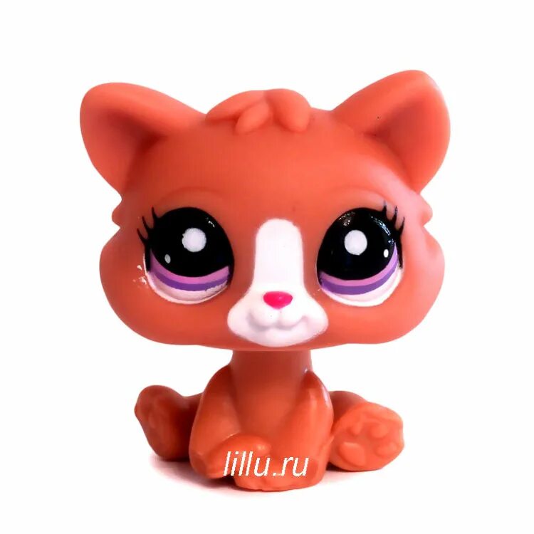 LPS #2191. Лпс 2191. LPS Littlest Pet shop. Лпс 563. Игрушки пэты