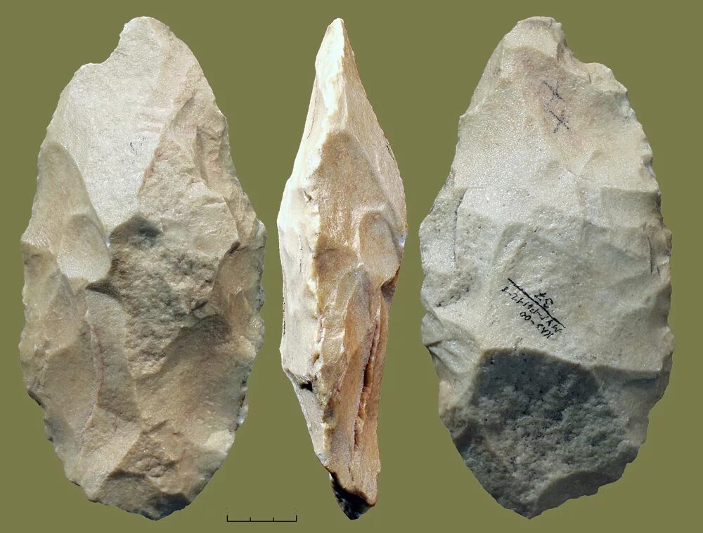 рубило каменное палеолит. орудие рубило. каменное рубило древних людей. каменные орудия палеолита рубило. рубило каменное палеолит.