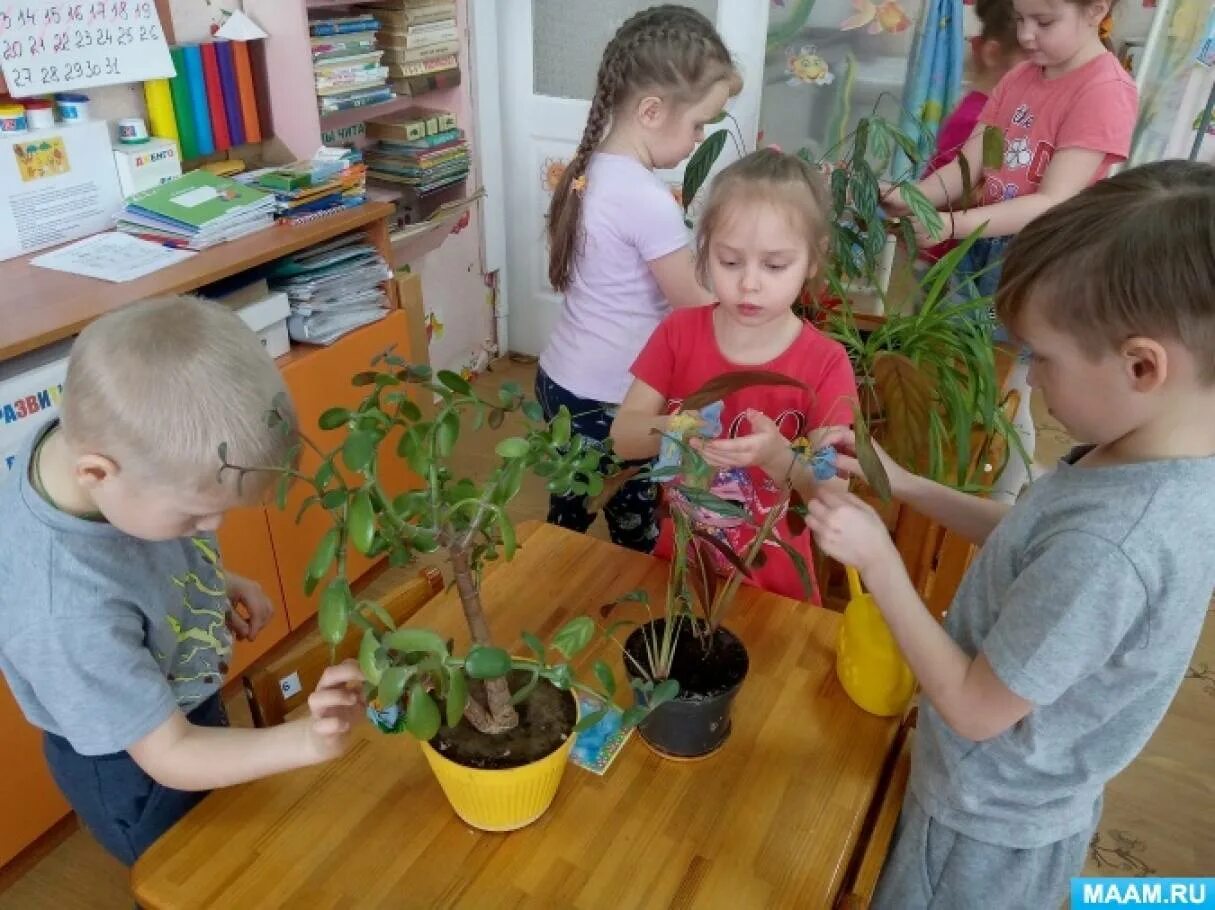 Наблюдения за растениями в детском саду. Растения в детском саду. Комнатные растения в детском саду. Комнатные растения для детей дошкольного возраста. Дети в детском саду.