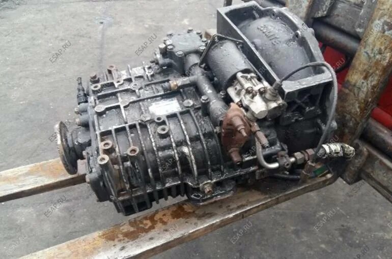 Zf 1010