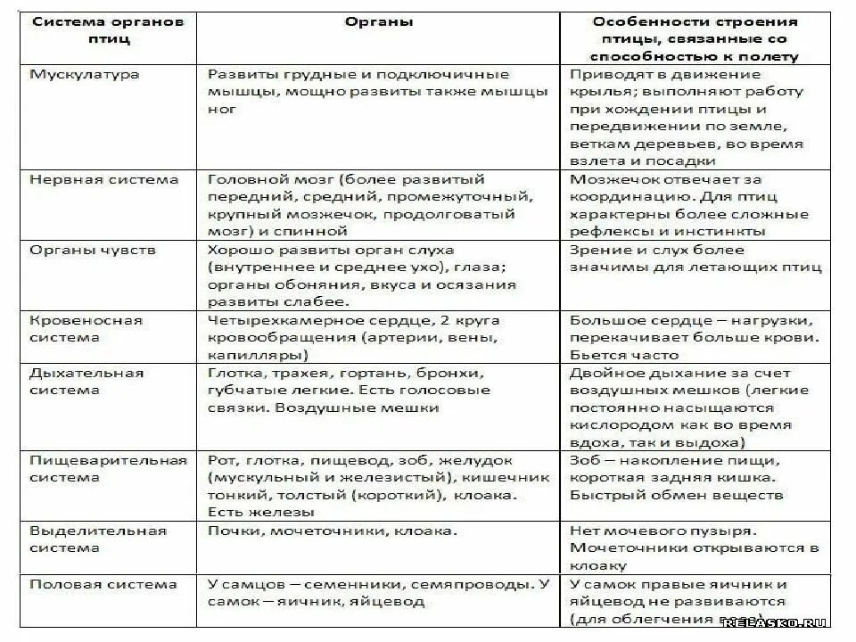 Птицы система органов таблица. Система органов, строение, функции таблица про системы птиц. системы органов птиц таблица. внутреннее строение птиц таблица система органы функция. таблица внутренне строение птиц.