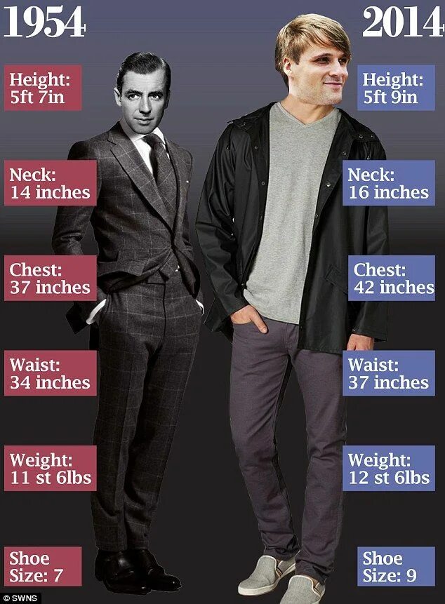 6 ft. 5ft tall. 5 ft рост. 6 ft 5 in. 6ft рост.