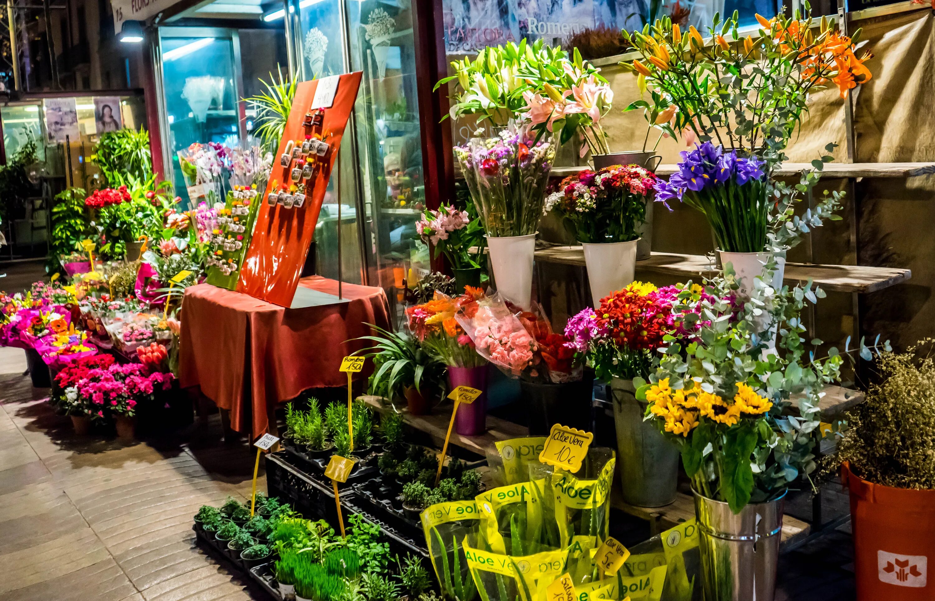 Blumenladen. Цветочный магазин. Ассортимент цветочного магазина. Цветочный магазин в Европе