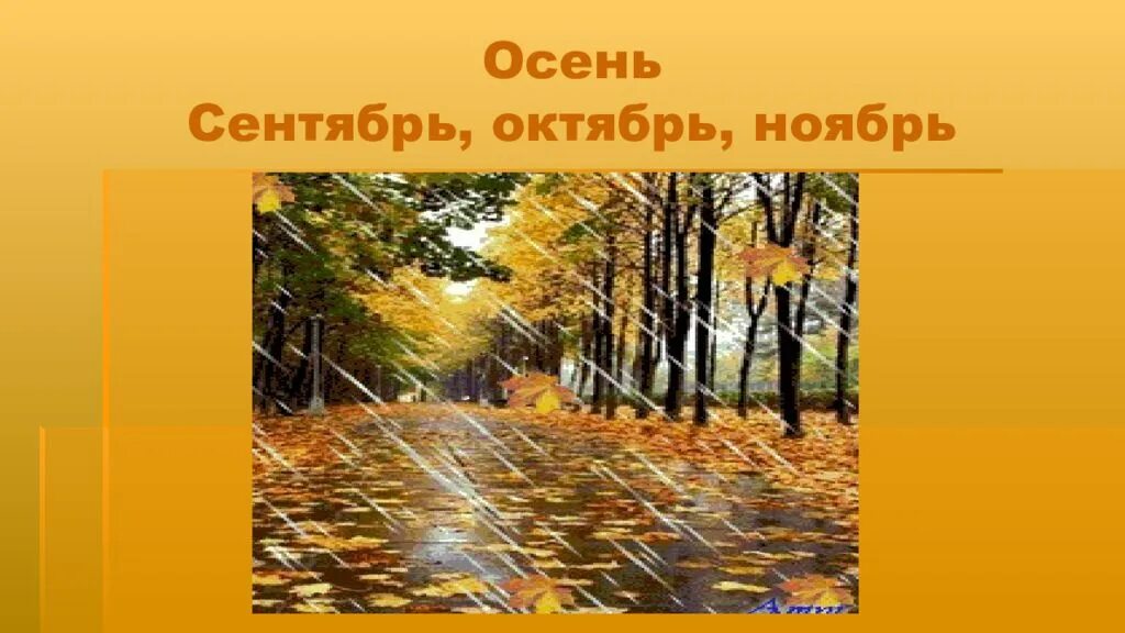 Живая природа осенью. Проект осень. Изменения в природе в октябре. Лес поздней осенью. Календарь природы осень.