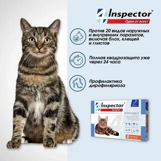 Инспектор от глистов для кошек отзывы