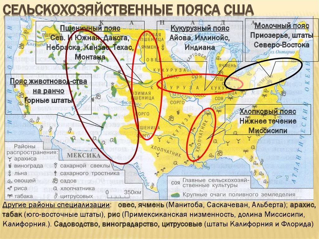 Промышленность стран северной америки. Сельскохозяйственные пояса Северной Америки на карте. Сельскохозяйственные пояса США пшеничный пояс. Сельскохозяйственные пояса расположены на территории США. Сельскохозяйственные пояса США на карте.