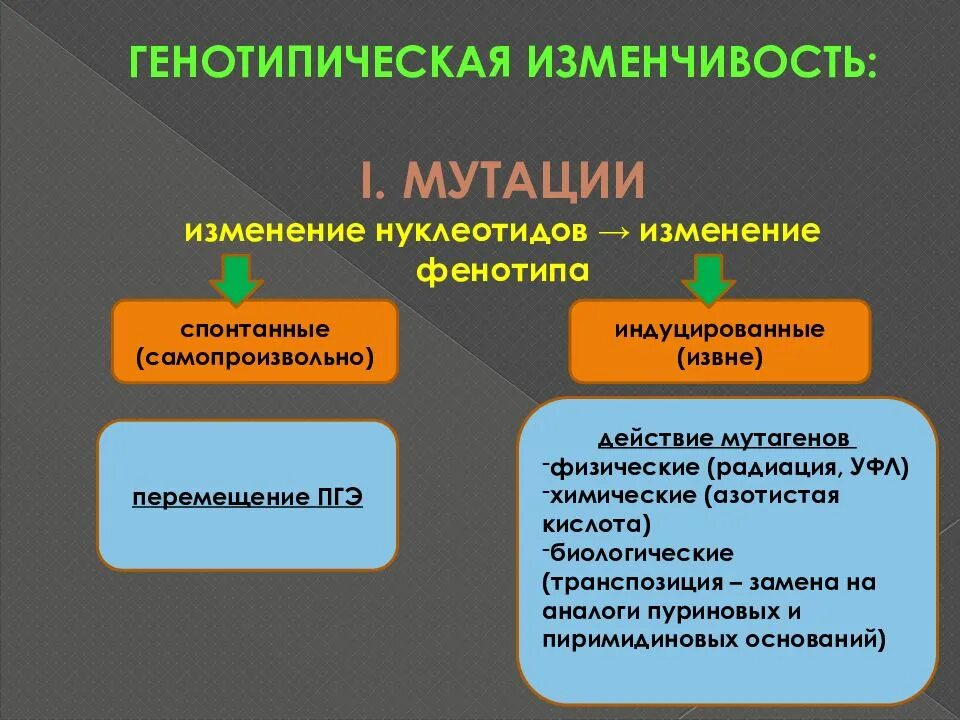 Мутационное изменение организма. Генотипическая изменчивость. Мутационная генотипическая изменчивость. Генотипическая классификация мутаций. Мутационная изменчивость микроорганизмов это.