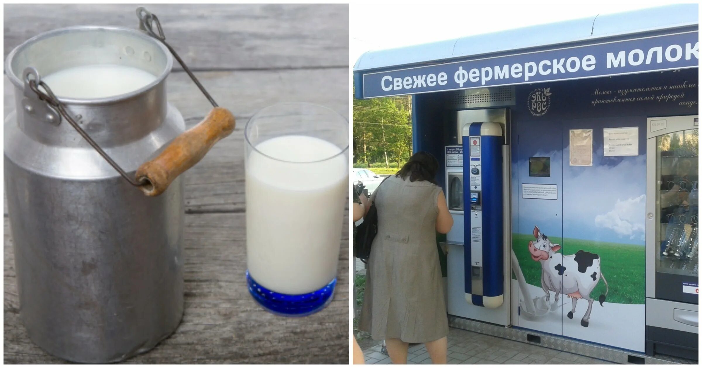 Гугу гага тут бидоны молочка