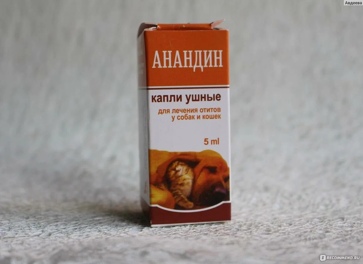 Анандин ушные. Анандин ушные капли оранжевые. анандин капли коту. анандин капли ушные для кошек и собак при отитах. анандин капли ушные (оранжевые) 5мл.
