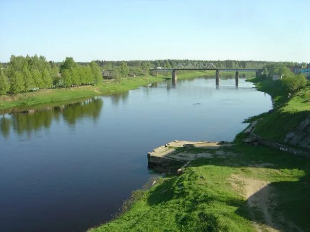 Левый приток мологи 6. Река Молога Пестово. Пестово Новгородской области река Молога. Бежецк река Молога. Река Молога Устюжна.