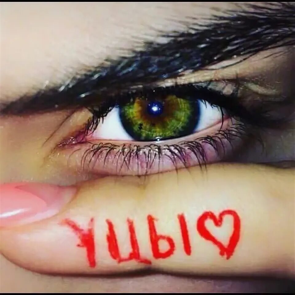 Что такое уцы. Что такое уцы
