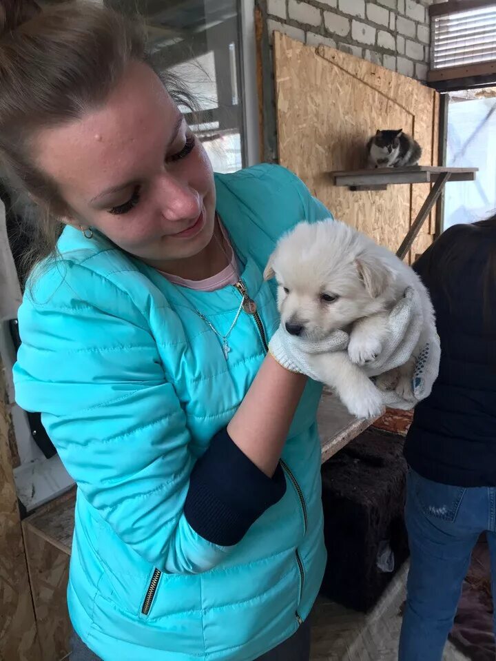 фонд умка владивосток. умка приют для животных в старом осколе. приют для животных старый оскол. старый оскол приют для собак планета. приют бирюлево муниципальный.