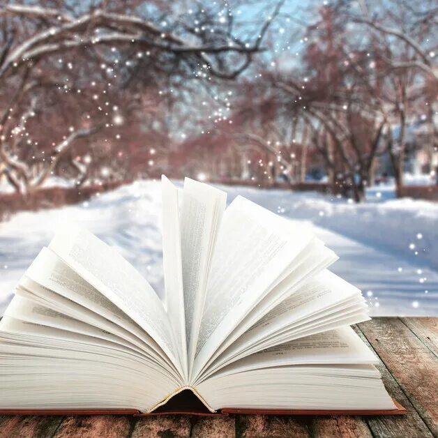 Книги winter. "зимняя книга". Книги winter. Зима в поэзии. Книги зима.