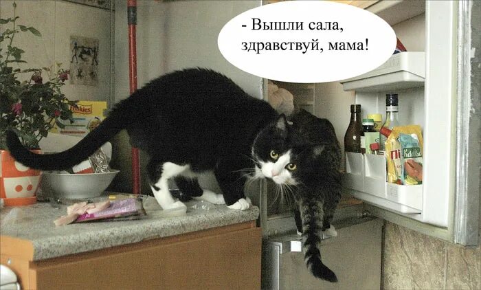 Выходивший