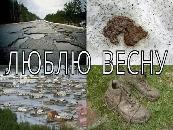Завтра никогда не настанет. Прикольные статусы про весну в картинках. Смешные коты с надписями. Грабли с топором. Год кролика еще не наступил а уже тревожно картинка с надписью.
