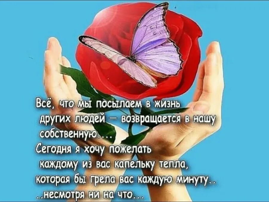 Благодарю жизнь за все