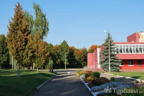 Полушкино раменский