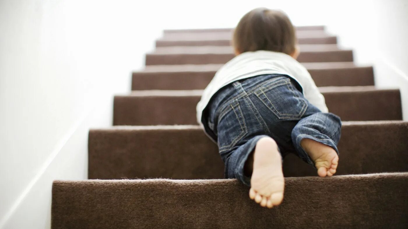 Воспитать целеустремленность. Ступенька для детей. Лестница для детей. Ступеньки жизни человека. Лестница жизни.